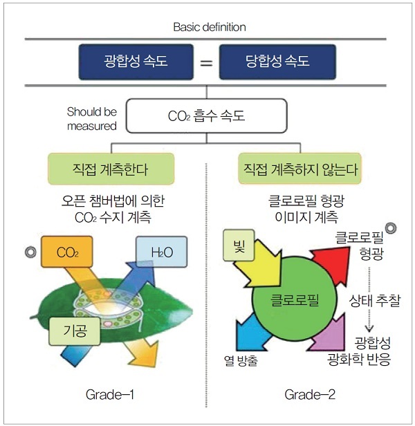 그림 2. 광합성 기능 평가 기술로서 오픈 챔버 CO2 수지 계측과 클로로필 형광 이미지 계측의 차이
