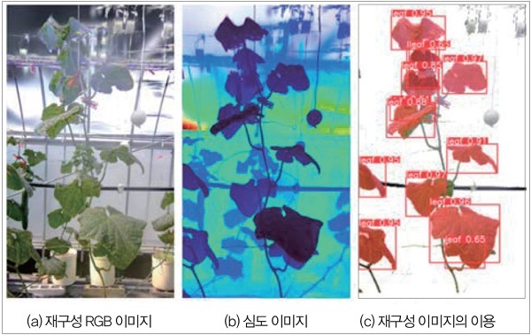 그림 5. 오이 식물의 3차원 모델 재구성 예