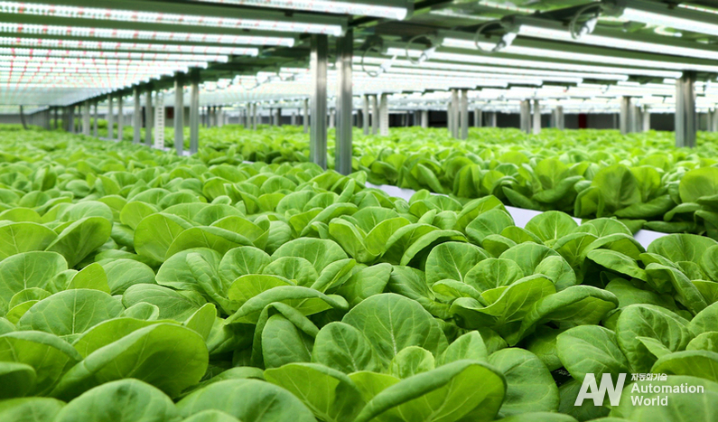 ‘도시의 푸른농장’을 통해 구축한 스마트팜 (출처 : 롯데이노베이트)