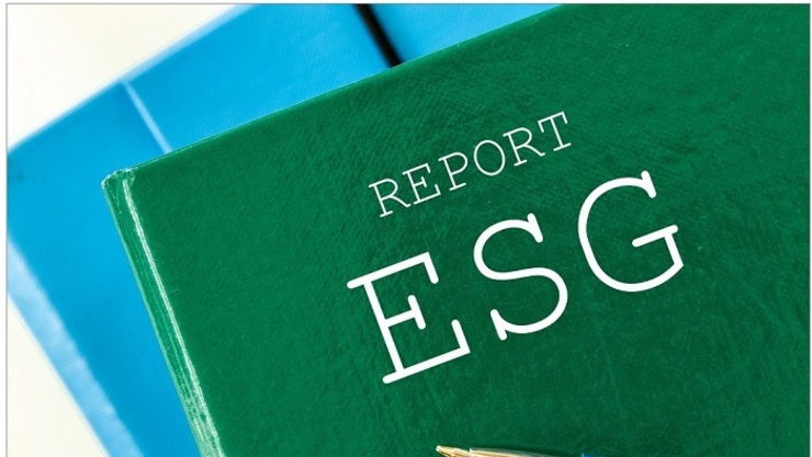 대학의 ESG 평가 현황과 지속가능성 전망